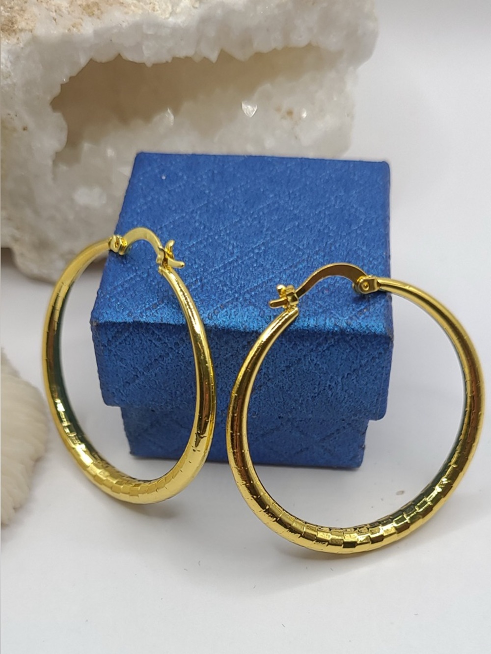 Gold Hoop Earring NWTS